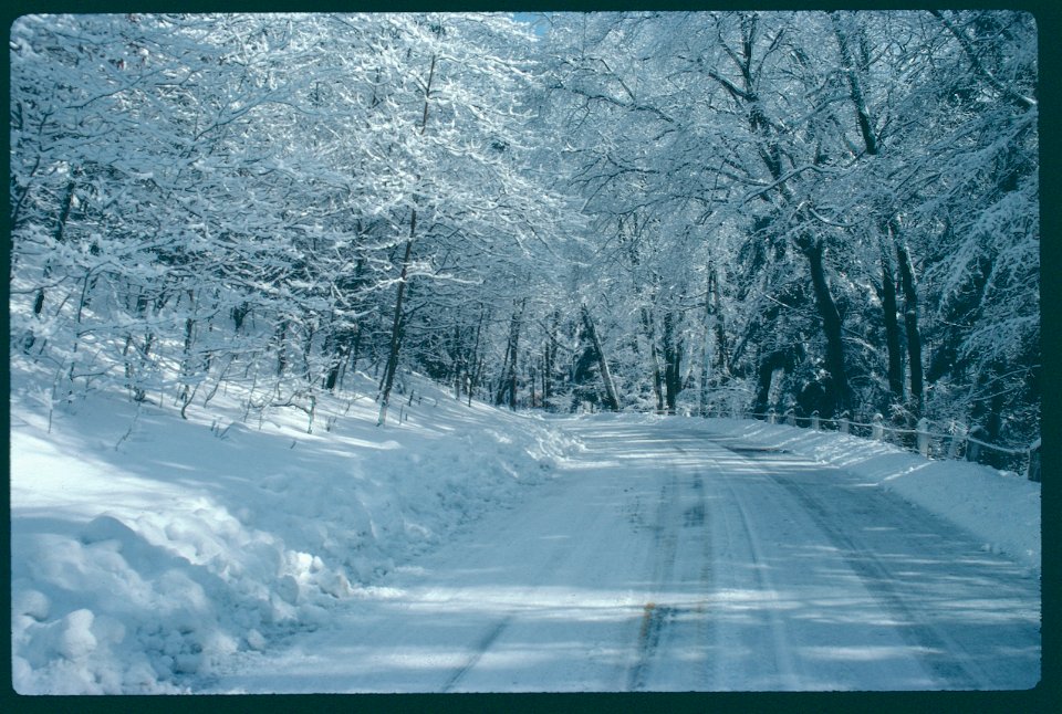 Nature Snow on in road 1986